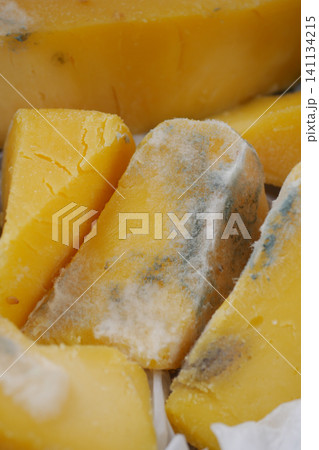 spoiled or moldy cheese on a table spoiled or moldy cheese on a table 141134215