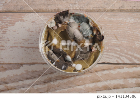 Mold growing on food in a clear container indoors Mold growing on food in a clear container indoors 141134386