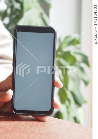 Smartphone held in hand near green plant indoors 141134503