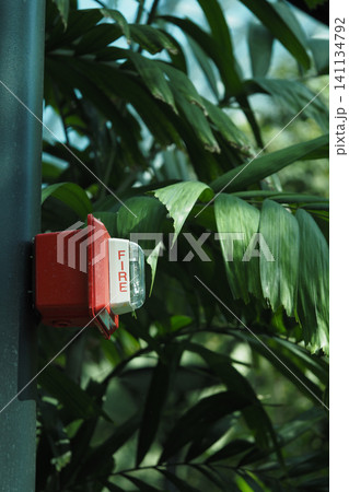 Fire alarm mounted near lush greenery in a public area 141134792