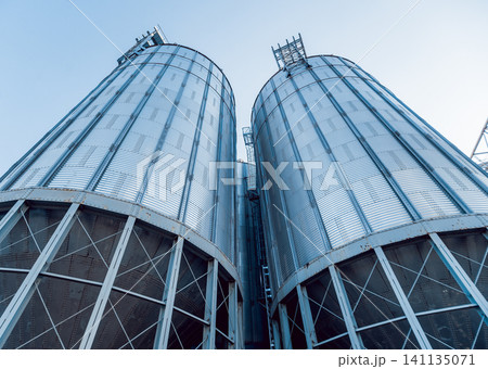 Modern silos for storing grain harvest. Agriculture. 141135071