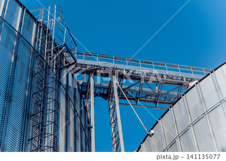 Modern silos for storing grain harvest. Agriculture. 141135077