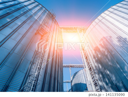 Modern silos for storing grain harvest. Agriculture. 141135090