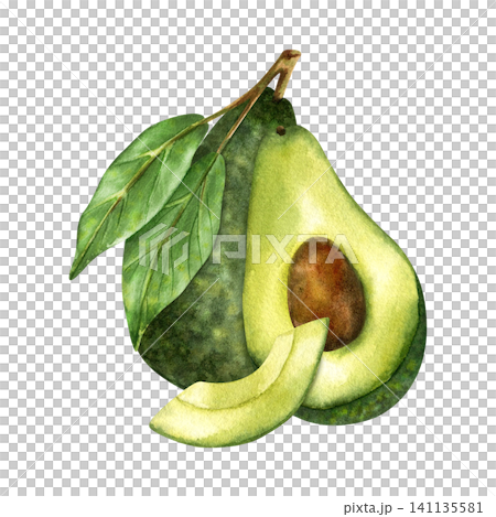 Watercolor avocado fruits. Ripe green textured fruits with leaves, half with seed, and in peel, piece. Hand painted illustration of exotic healthy food. Isolated clip art for packaging design, cards Watercolor avocado fruits. Ripe green textured fruits with leaves, half with seed, and in peel, piece. Hand painted illustration of exotic healthy food. Isolated clip art for packaging design, cards 141135581