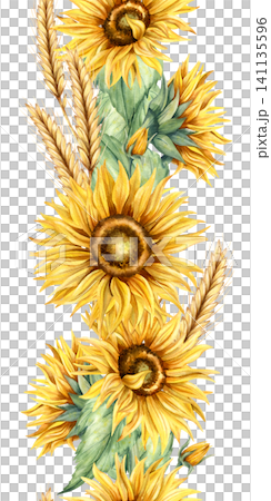 Watercolor sunflower seamless border. Hand drawn botanical vertical frame illustration of yellow flowers, green leaves and ear of wheat isolated from background. Floral composition for design Watercolor sunflower seamless border. Hand drawn botanical vertical frame illustration of yellow flowers, green leaves and ear of wheat isolated from background. Floral composition for design 141135596