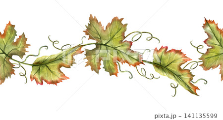 Grapes vine watercolor seamless border. Green leaves repeat horizontal ornate. Hand drawn Illustration isolated from background. For label, branding, kitchen decoration, tea packaging design Grapes vine watercolor seamless border. Green leaves repeat horizontal ornate. Hand drawn Illustration isolated from background. For label, branding, kitchen decoration, tea packaging design 141135599