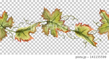 Grapes vine watercolor seamless border. Green leaves repeat horizontal ornate. Hand drawn Illustration isolated from background. For label, branding, kitchen decoration, tea packaging design Grapes vine watercolor seamless border. Green leaves repeat horizontal ornate. Hand drawn Illustration isolated from background. For label, branding, kitchen decoration, tea packaging design 141135599