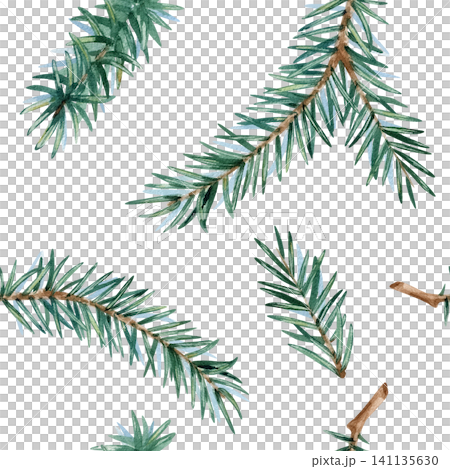 Spruce branches seamless pattern. Fir watercolor twigs repeat ornate isolated from background. Hand drawn painted Illustration for festive Christmas, New Year packaging, rustic scrapbooking, textile Spruce branches seamless pattern. Fir watercolor twigs repeat ornate isolated from background. Hand drawn painted Illustration for festive Christmas, New Year packaging, rustic scrapbooking, textile 141135630