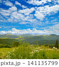 Picturesque Mountain Landscape with Wildflowers and Fluffy White Clouds Scenic Alpine Meadow View Overlooking Green Hills and Forest Slopes 141135799