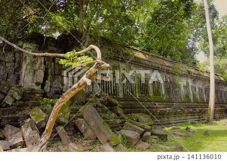 古代クメール建築 ベンメリア寺院|カンボジア 古代クメール建築 ベンメリア寺院|カンボジア 141136010