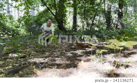 Small squirrel alert in summer forest at foreground. Young girl gently reaches out trying to invite animal closer at blurred background. The scene capturing quiet moment of connection with wildlife Small squirrel alert in summer forest at foreground. Young girl gently reaches out trying to invite animal closer at blurred background. The scene capturing quiet moment of connection with wildlife 141136271