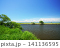 初夏の釧路湿原と釧路川　北海道 141136595