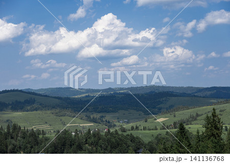Alpine valley landscape with rolling green hills and forest 141136768