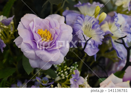purple roses flower and yellow pollen and green leaves flowers bouquet, white wall background, nature, fashion, love, decor, valentine, wedding, old, copy space purple roses flower and yellow pollen and green leaves flowers bouquet, white wall background, nature, fashion, love, decor, valentine, wedding, old, copy space 141136781