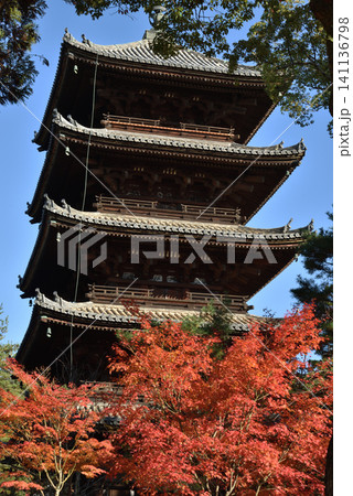 世界遺産仁和寺 モミジと五重塔(京都市右京区) 世界遺産仁和寺 モミジと五重塔(京都市右京区) 141136798