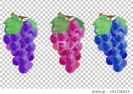 A set of watercolor illustrations of grapes. A set of watercolor illustrations of grapes. 141136833