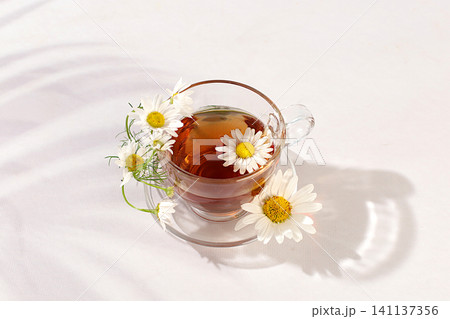 Chamomile iced tea in a transparent cup with natural small chamomile flowers on a light table, concept of herbal tea and proper natural nutrition, summer card and outdoor recreation, Chamomile iced tea in a transparent cup with natural small chamomile flowers on a light table, concept of herbal tea and proper natural nutrition, summer card and outdoor recreation, 141137356
