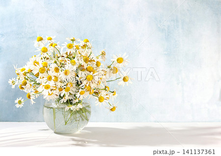 Still life with wild chamomile flowers in a vase, as well as a collection of useful herbs for traditional medicine. An alternative folk medicine concept, advertising a green pharmacy Still life with wild chamomile flowers in a vase, as well as a collection of useful herbs for traditional medicine. An alternative folk medicine concept, advertising a green pharmacy 141137361