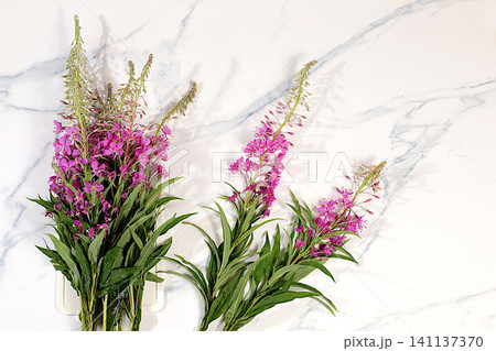 Fireweed flowers on a concrete table, herbal remedies, alternative folk medicine concept, green pharmacy advertisement, collection of useful herbs for folk medicine, source of vitamins Fireweed flowers on a concrete table, herbal remedies, alternative folk medicine concept, green pharmacy advertisement, collection of useful herbs for folk medicine, source of vitamins 141137370