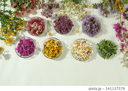 Medicinal herbs and their flower petals in glass cups for infusions or tea, concept of alternative folk medicine, advertisement of a green pharmacy, collection of useful herbs for treatment Medicinal herbs and their flower petals in glass cups for infusions or tea, concept of alternative folk medicine, advertisement of a green pharmacy, collection of useful herbs for treatment 141137379