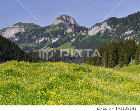 Breathtaking Hoher Kasten and Its Vibrant Wildflower Meadows in Summer 141138142
