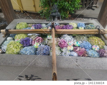 手水舎に浮かぶ紫陽花 141138814