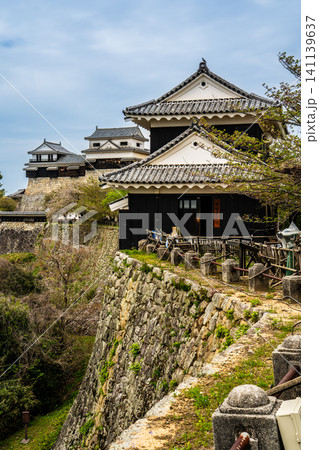 松山城【愛媛県松山市】 松山城【愛媛県松山市】 141139637