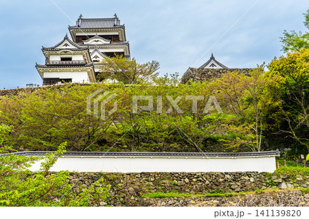 大洲城【愛媛県大洲市】 大洲城【愛媛県大洲市】 141139820