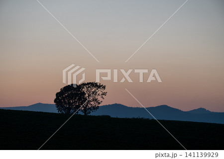 オレンジ色に染まる美しい夕空と丘の上の木のシルエット オレンジ色に染まる美しい夕空と丘の上の木のシルエット 141139929
