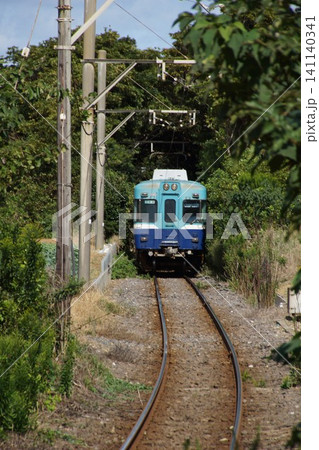 銚子電気鉄道の風景 緑のトンネル(犬吠駅ー君ヶ浜駅間)銚子電鉄3000形 銚子電気鉄道の風景 緑のトンネル(犬吠駅ー君ヶ浜駅間)銚子電鉄3000形 141140341