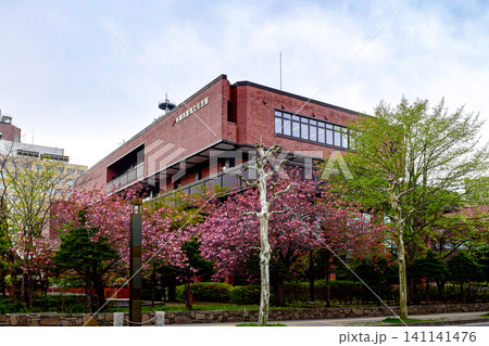 教育文化会館 斜め側面 札幌市中央区 八重桜 教育文化会館 斜め側面 札幌市中央区 八重桜 141141476