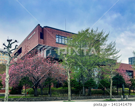 教育文化会館 斜め側面 札幌市中央区 八重桜 教育文化会館 斜め側面 札幌市中央区 八重桜 141141479