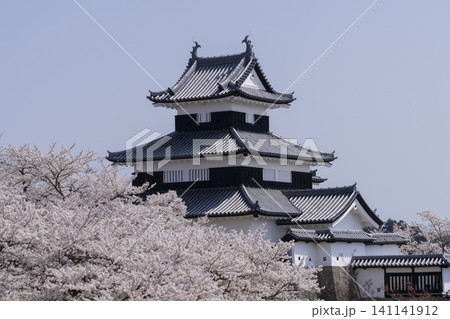 小峰城と桜の花 小峰城と桜の花 141141912