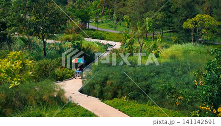 Park path with cyclist beneath colorful umbrella moving through lush green garden landscape, surrounded by trees, grass, and winding walkways in sunny outdoor setting, creating vivid, active scene 141142691