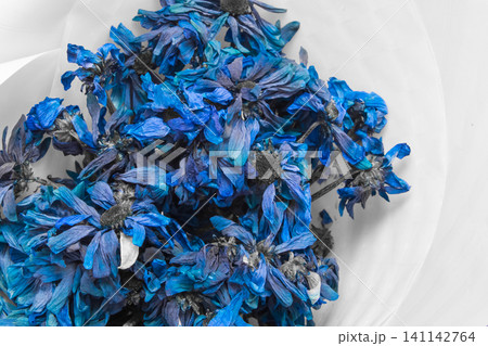 Dried blue cornflower flowers dead dry nature of the plant on a white background Dried blue cornflower flowers dead dry nature of the plant on a white background 141142764
