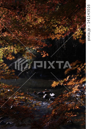 紅葉と川のある風景 紅葉と川のある風景 141143016