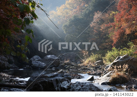 紅葉と川のある風景 紅葉と川のある風景 141143022