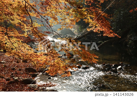 紅葉と川のある風景 141143026