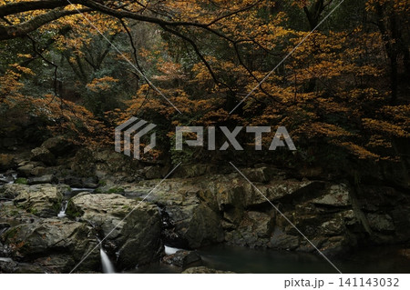 紅葉と川のある風景 紅葉と川のある風景 141143032