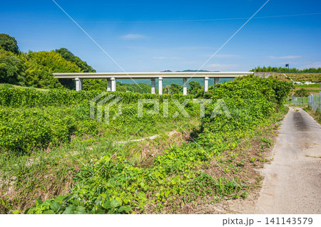 仰木の田園地帯を通る国道161号線 滋賀県大津市 仰木の田園地帯を通る国道161号線 滋賀県大津市 141143579