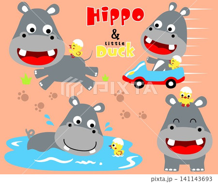 Vector set of hippo and duck cartoon in different action 141143693