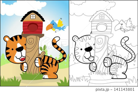 Coloring book or page of funny animals cartoon, tiger playing with bird in forest, birds cage on tree stump 141143801