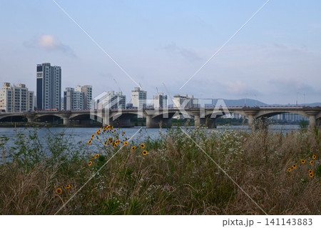ウルサンの河川敷4 141143883