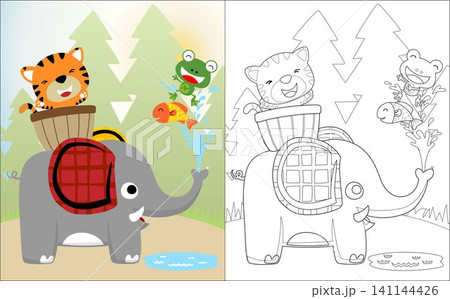 Vector illustration of tiger riding elephants, fish and frog playing water. Coloring book or page Vector illustration of tiger riding elephants, fish and frog playing water. Coloring book or page 141144426