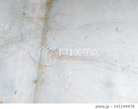 Abstract background of a weathered and distressed wall with peeling paint and plaster in faded light blue and beige tones, showcasing aged texture and grunge details. Abstract background of a weathered and distressed wall with peeling paint and plaster in faded light blue and beige tones, showcasing aged texture and grunge details. 141144478