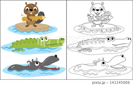 Funny swimmer animals. Beaver, crocodile and hippopotamus. Coloring page or book Funny swimmer animals. Beaver, crocodile and hippopotamus. Coloring page or book 141145008