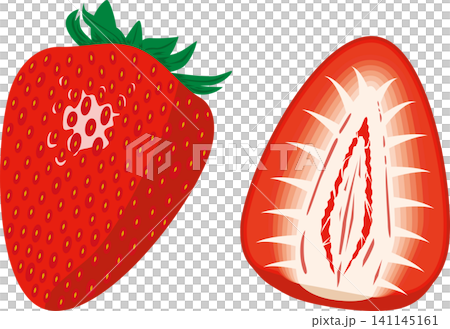紅草莓插畫 紅草莓插畫 141145161