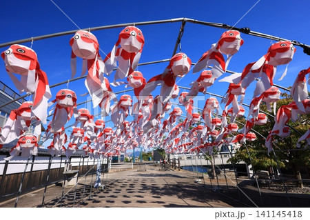 柳井 金魚ちょうちん祭り3158 柳井 金魚ちょうちん祭り3158 141145418