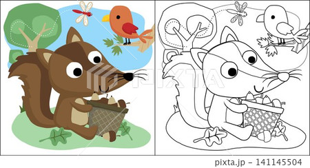 vector cartoon of woodland animals cartoon, squirrel with lot of nuts, coloring book or page 141145504