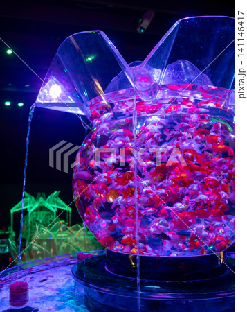 幻想的な水槽の中で泳ぐ金魚 幻想的な水槽の中で泳ぐ金魚 141146417